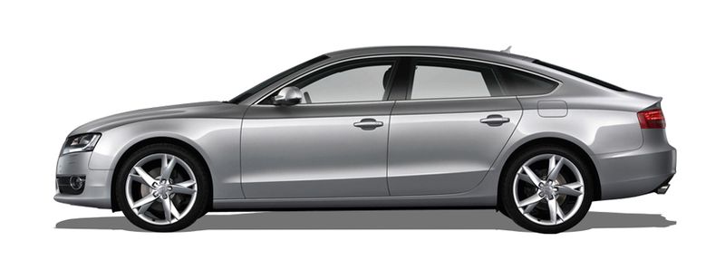 AUDI A5 Sportback (8TA) (2007/07 - 2017/01) 2.0 TDI (130 KW / 177 HP) (2011/10 - 2017/01)