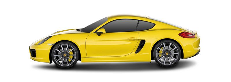 PORSCHE CAYMAN Coupe (981) (2013/03 - ...) 2.7  (202 KW / 275 HP) (2013/03 - ...)