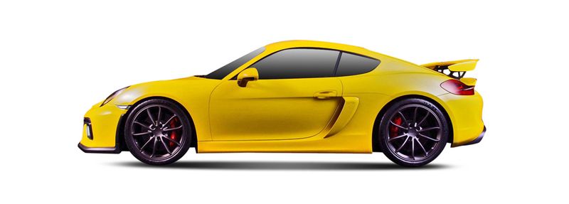 PORSCHE CAYMAN Coupe (981) (2013/03 - ...) 3.8 GT4 (283 KW / 385 HP) (2015/01 - ...)